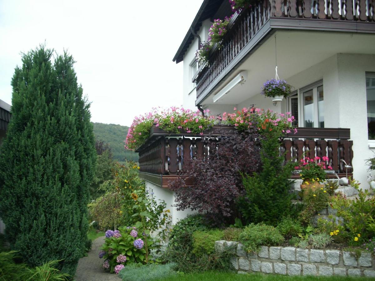 Ferienwohnung Waltraud 브릴온 외부 사진