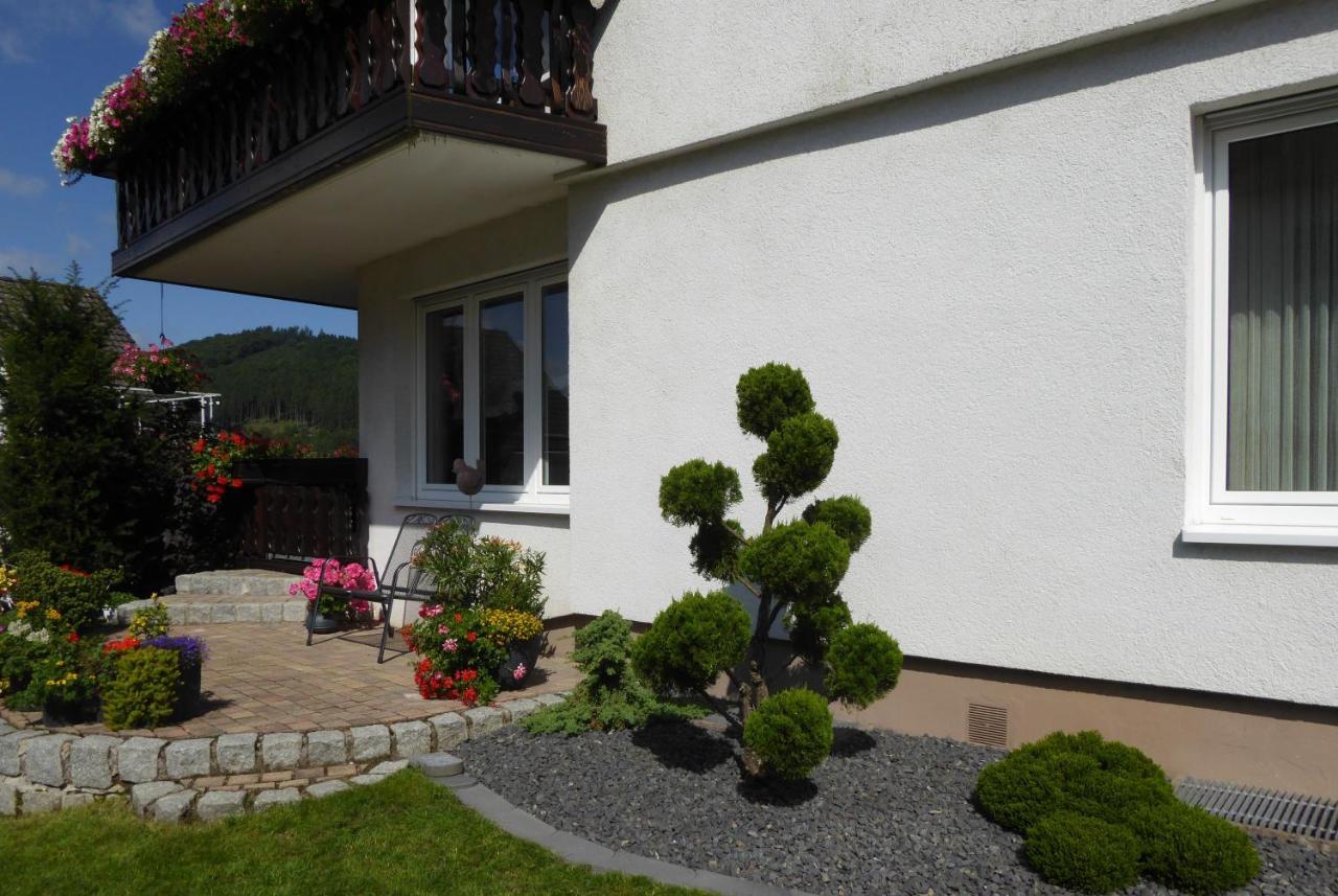 Ferienwohnung Waltraud 브릴온 외부 사진